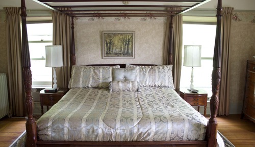 Elite Suite, 1 King Bed, Jetted Tub (The Ammi Wright)