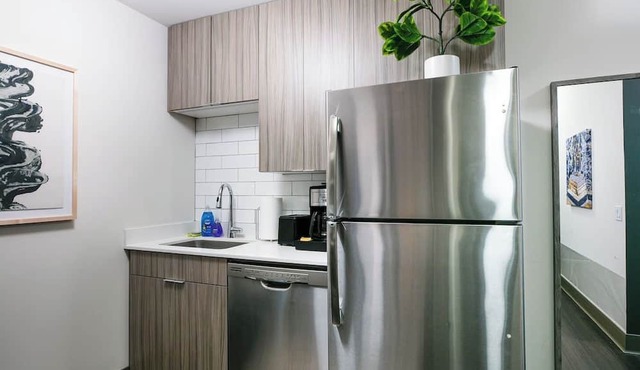 Downtown Mich Ave - 6 Penthouses, Sleep 25